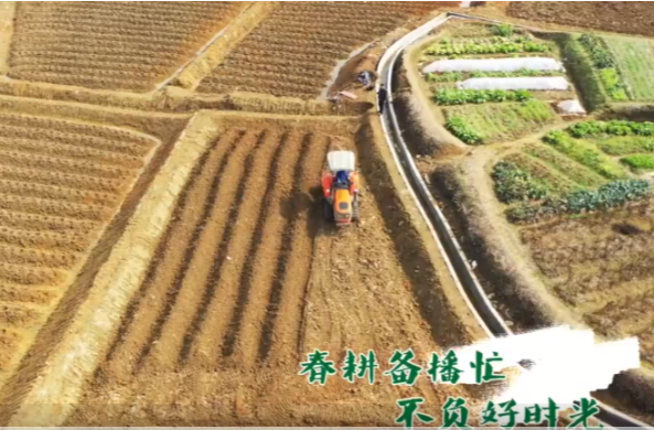 【学习强国】春耕备耕 郴州临武：烤烟地里翻耕忙