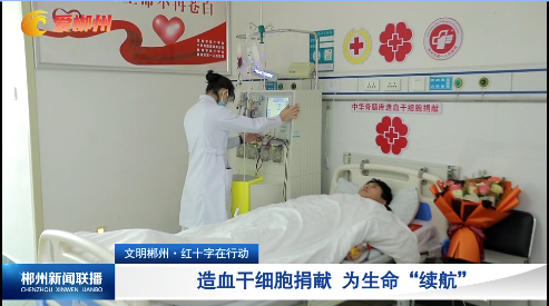 【郴州新闻联播】文明郴州·红十字在行动：造血干细胞捐献 为生命“续航”