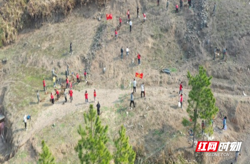 【红网时刻 湖南频道】二月春光好 我为家乡植新绿