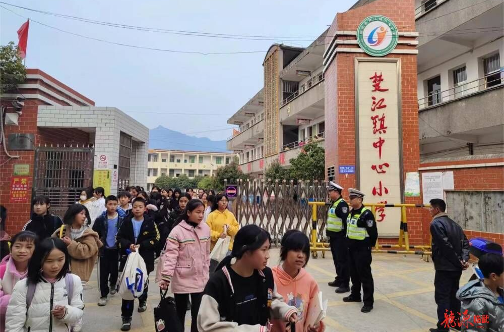 整治交通问题顽瘴痼疾 | 临武县交警大队：站好“护学岗”筑牢安全网