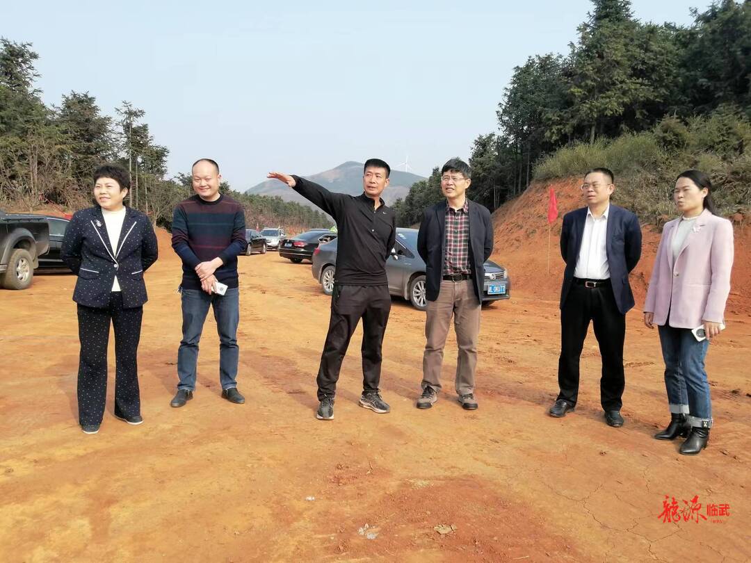 旅发进行时｜高爱国到临武县调研旅发大会重点项目建设情况