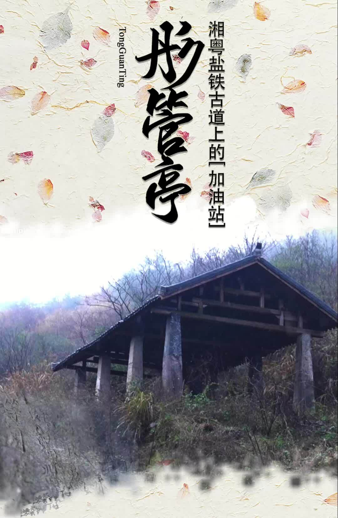 【旅发进行时 全年不打烊】临武：湘粤盐铁古道上的“加油站”