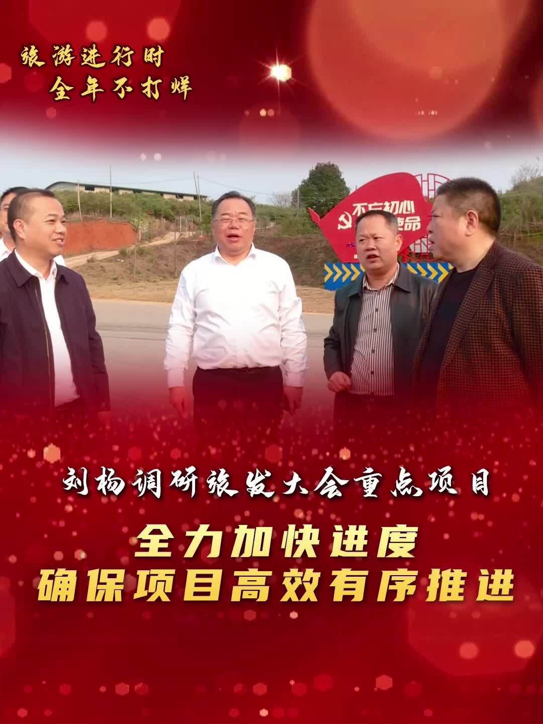 【旅发进行时 全年不打烊】 刘杨调研旅发大会重点项目：全力加快进度 确保项目高效有序推进