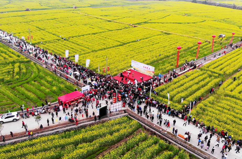 【旅发进行时 全年不打烊】武水镇首届油菜花节——主播带你来打卡