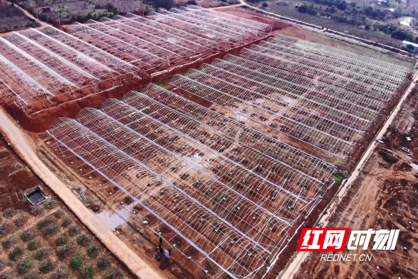 【红网时刻】加快推进育秧工厂建设 确保粮食安全