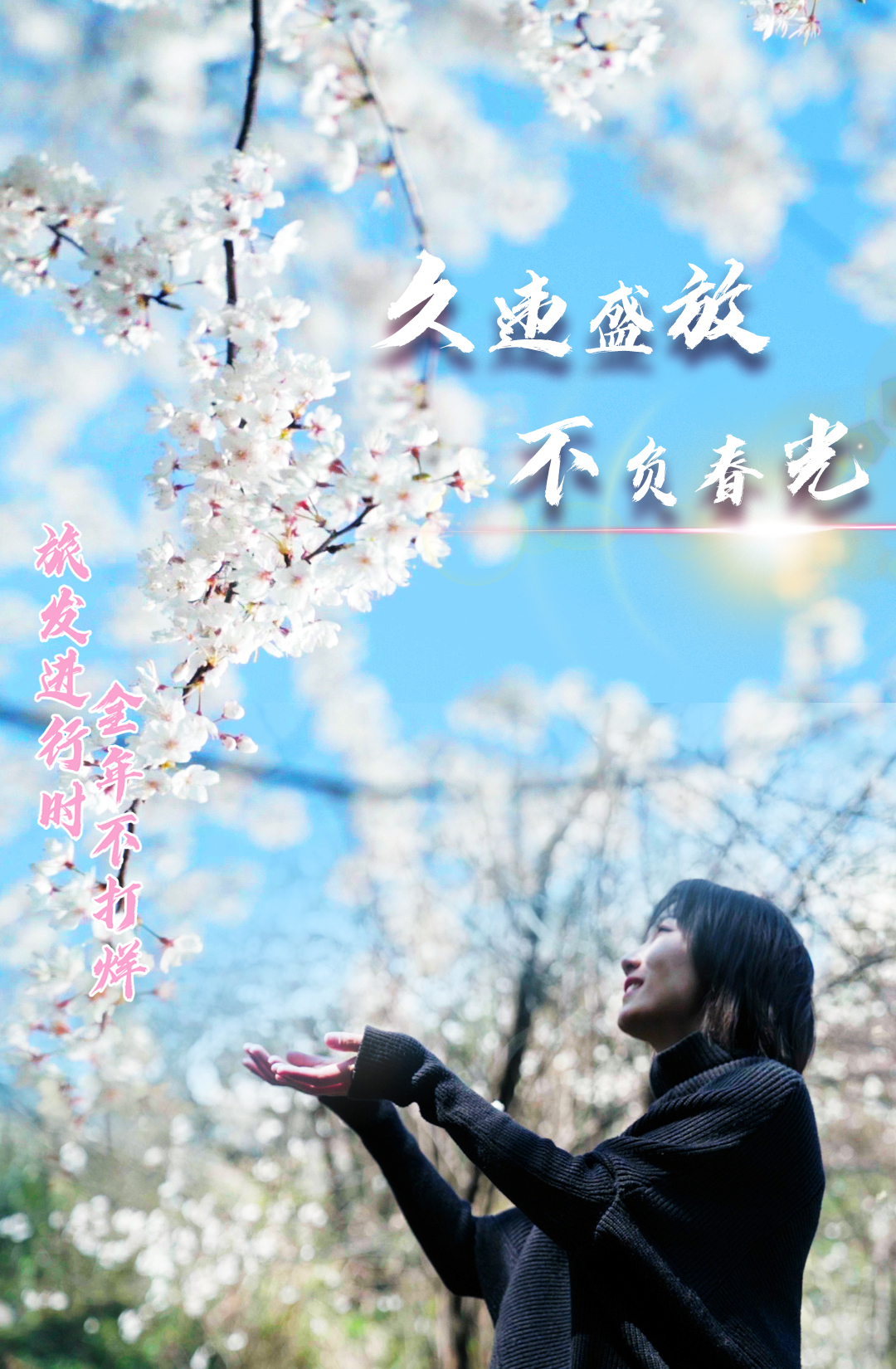 【旅发进行时·全年不打烊】万亩野生樱花迎春盛放 邀您共赴春之约
