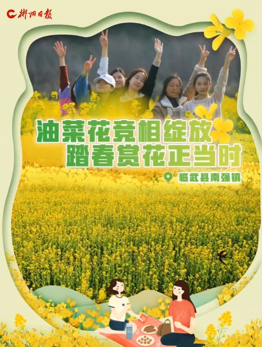 【郴州日报视频号】旅发进行时｜临武县南强镇：油菜花竞相绽放 踏春赏花正当时