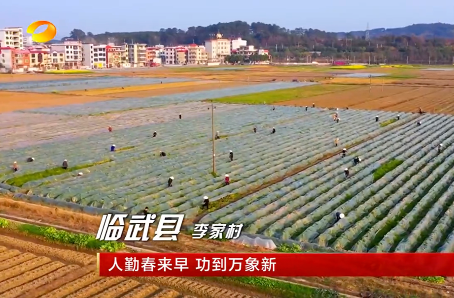 【湖南卫视】人勤春来早 功到万象新