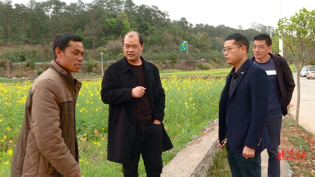省早稻集中育秧调研指导组到临武督导早稻育秧工作