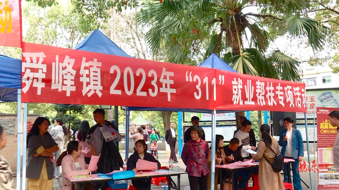 临武县举行2023年“311”就业帮扶暨就业困难人员就业帮扶专项活动