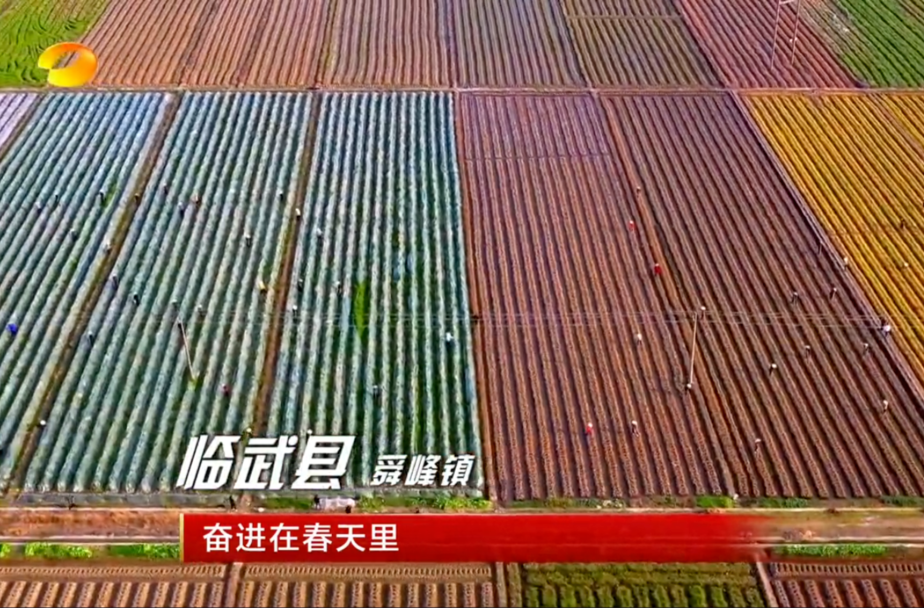 【湖南卫视】奋进在春天里