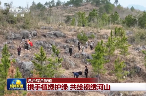 【央视新闻联播】携手植绿护绿 共绘锦绣河山