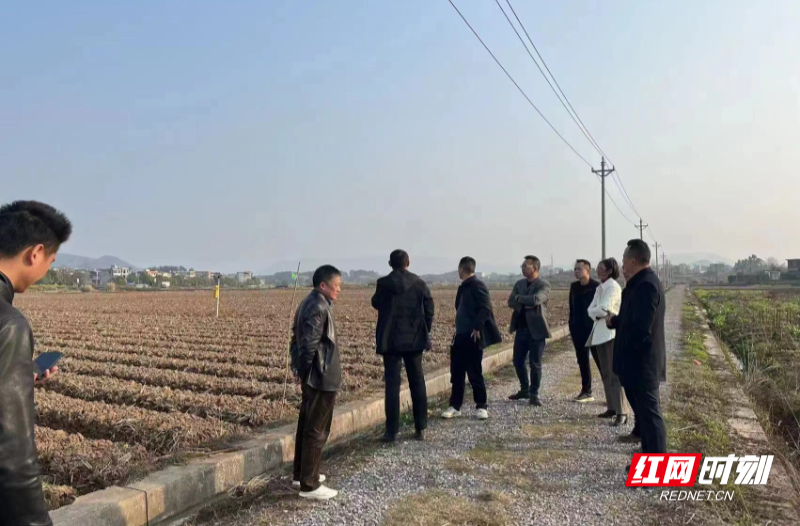 【红网时刻】临武财政评审提质增效推进项目建设
