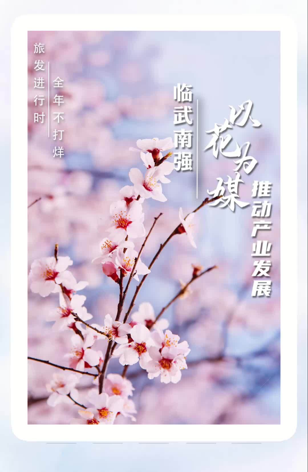旅发进行时·全年不打烊｜临武南强：以花为媒 推动产业发展