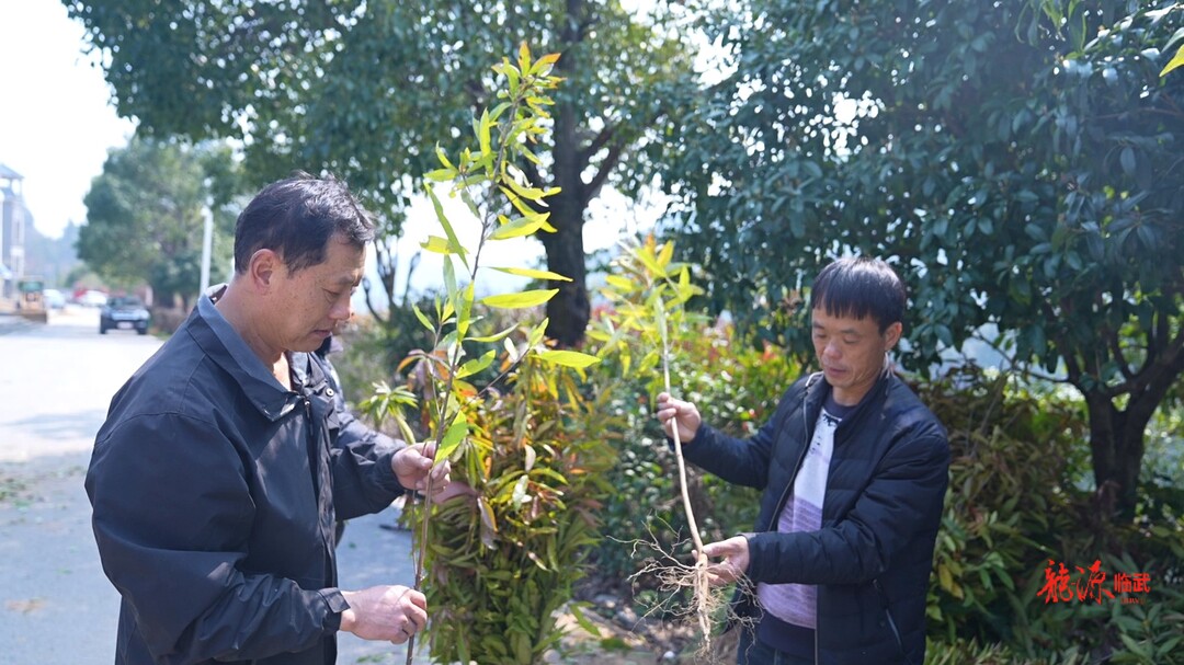 李党仁：大山里的“绿色卫士”