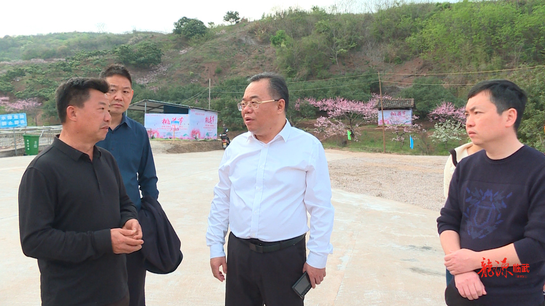 刘杨调研舜峰镇桃花文化旅游节筹备工作：精心筹备 办出成效