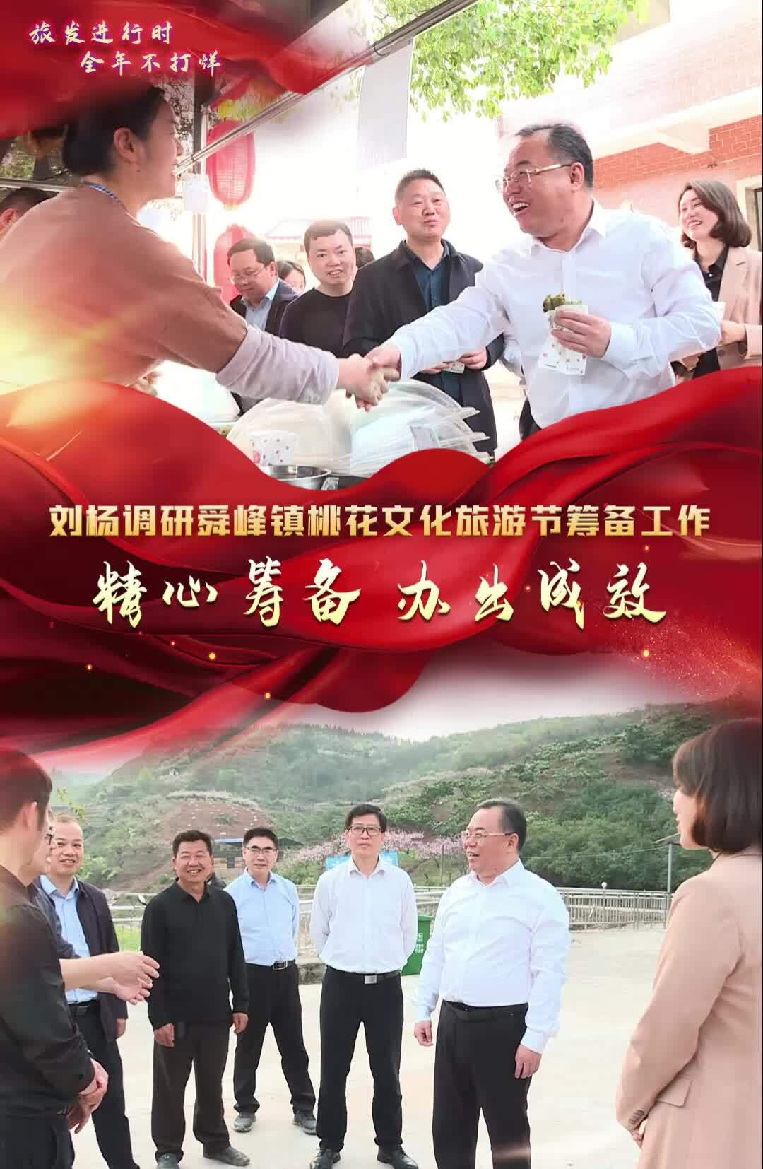 【旅发进行时 全年不打烊】刘杨调研舜峰镇桃花文化旅游节筹备工作：精心筹备 办出成效