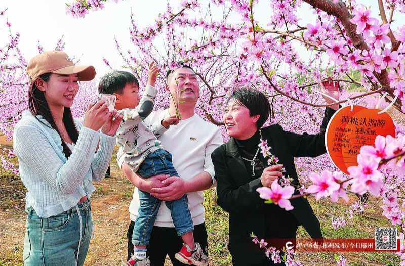 【郴州日报】图片新闻|桃花开 认购热