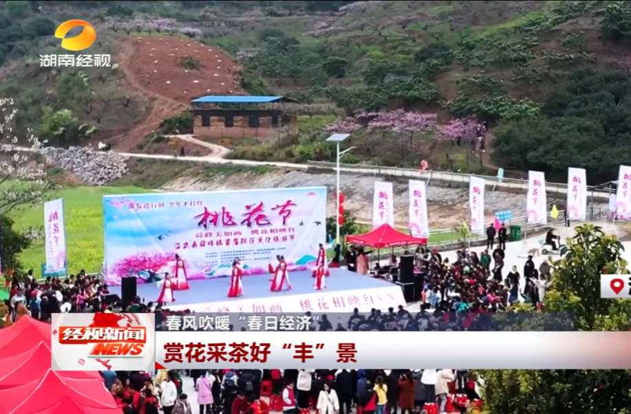 【湖南经视】春风吹暖“春日经济” 赏花采茶好“丰”景