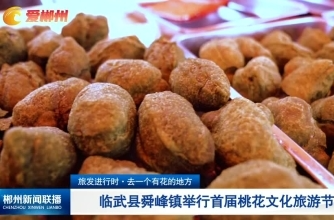 【郴州新闻联播】旅发进行时·去一个有花的地方 临武县舜峰镇举行首届桃花文化旅游节