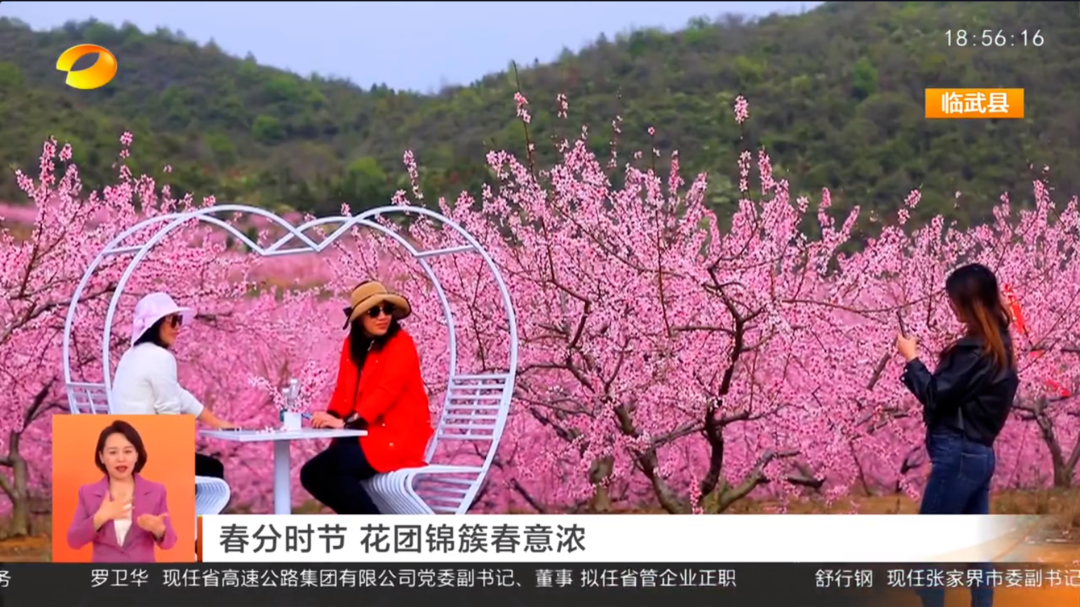 【湖南新闻联播】春分时节 花团锦簇春意浓