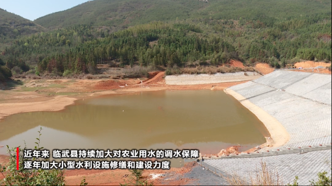 【奋进的春天】临武县今年将恢复和新增可用水资源1000万立方米