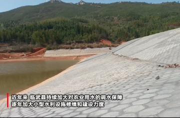 【新湖南】郴州临武：今年将恢复和新增可用水资源1000万立方米