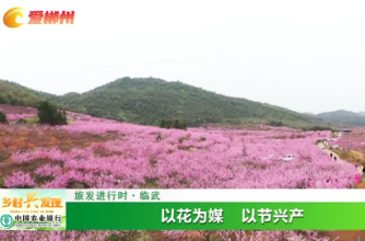 【爱郴州　乡村兴发现】旅发进行时·临武：以花为媒 以节兴产