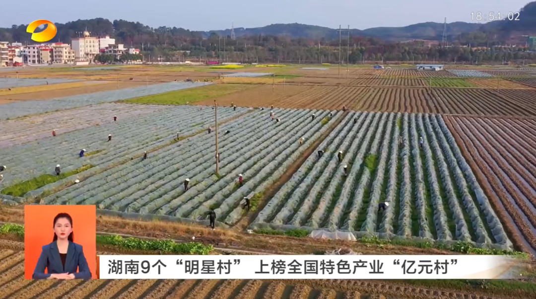 【湖南新闻联播】湖南9个“明星村”上榜全国特色产业“亿元村”
