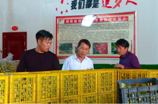 【学习强国】勇挑重担促振兴——记郴州市人大代表、临武县万水乡大汉村村支书邓圣武