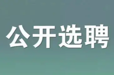 2023年临武县公开选聘事业单位工作人员公告