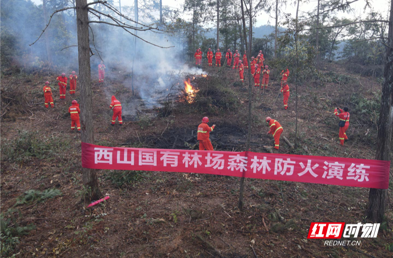 【红网时刻 湖南频道】临武西山国有林场组织开展森林防火演练