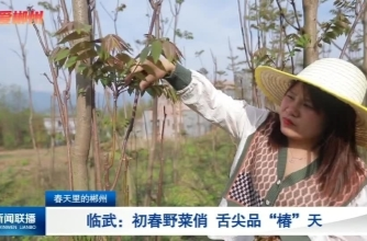 【郴州新闻联播】春天里的郴州·临武：初春野菜俏 舌尖品“椿”天