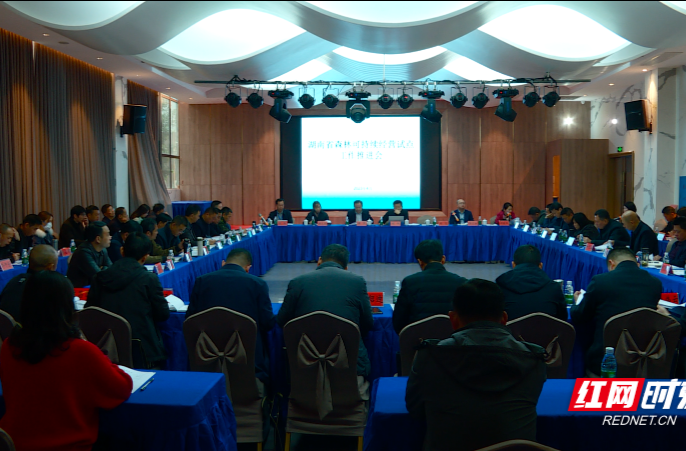 【红网时刻】湖南省森林可持续经营试点工作推进会在临武召开