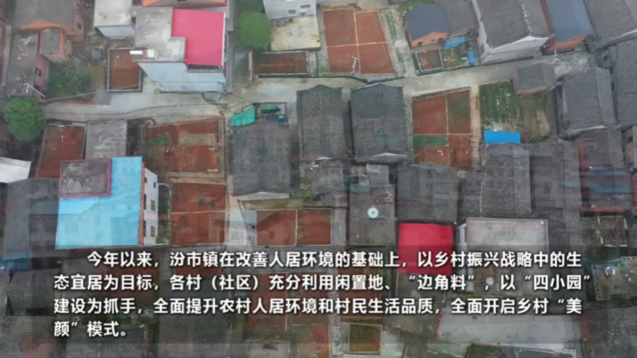 【旅发进行时】临武汾市：打造高品质“四小园” 开启乡村“美颜”模式