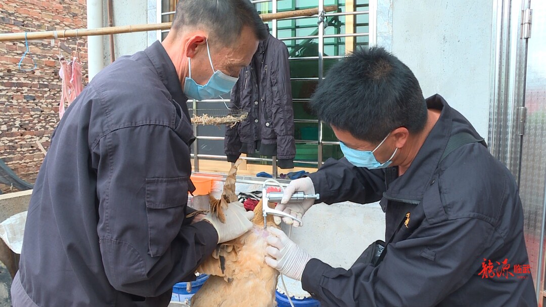 临武县畜牧水产事务中心：上门开展春季动物防疫