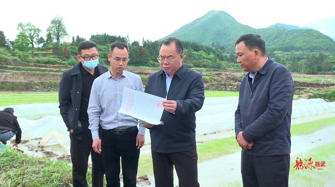 大兴调查研究｜刘杨调研2023年粮食生产及乡村振兴工作