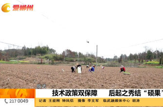 【爱郴州】临武：技术政策有保障 后起之秀结“硕果”