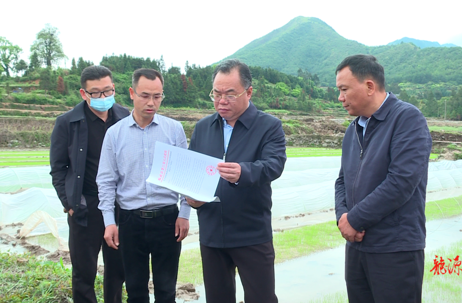大兴调查研究｜刘杨调研2023年粮食生产及乡村振兴工作