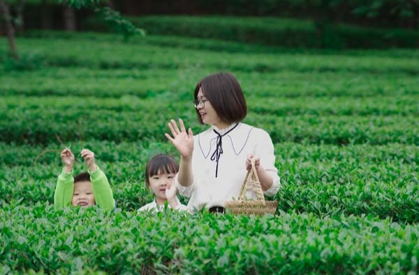 奋进的春天 | 拈“芽”一笑品新茗
