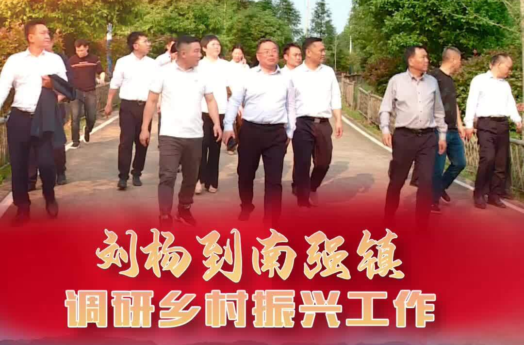 【大兴调查研究】刘杨到南强镇调研乡村振兴工作