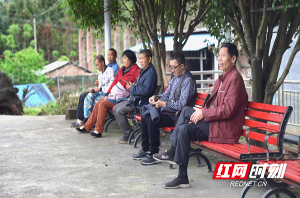 【红网时刻】临武县：奋进养老新征程 绘就夕阳好景色