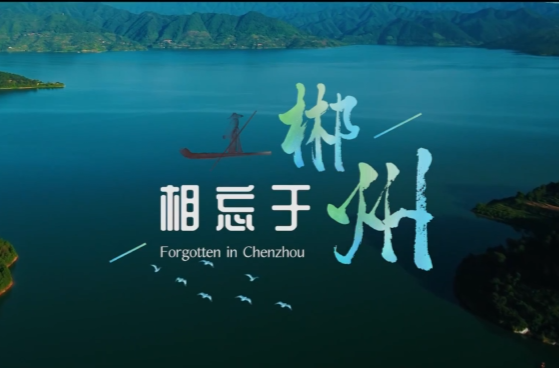 卡点大片 | 相忘于郴州