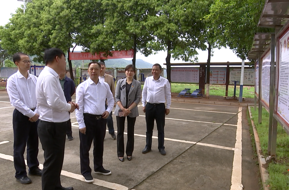 大兴调查研究｜黄进良来临武县调研党建引领基层社会治理工作