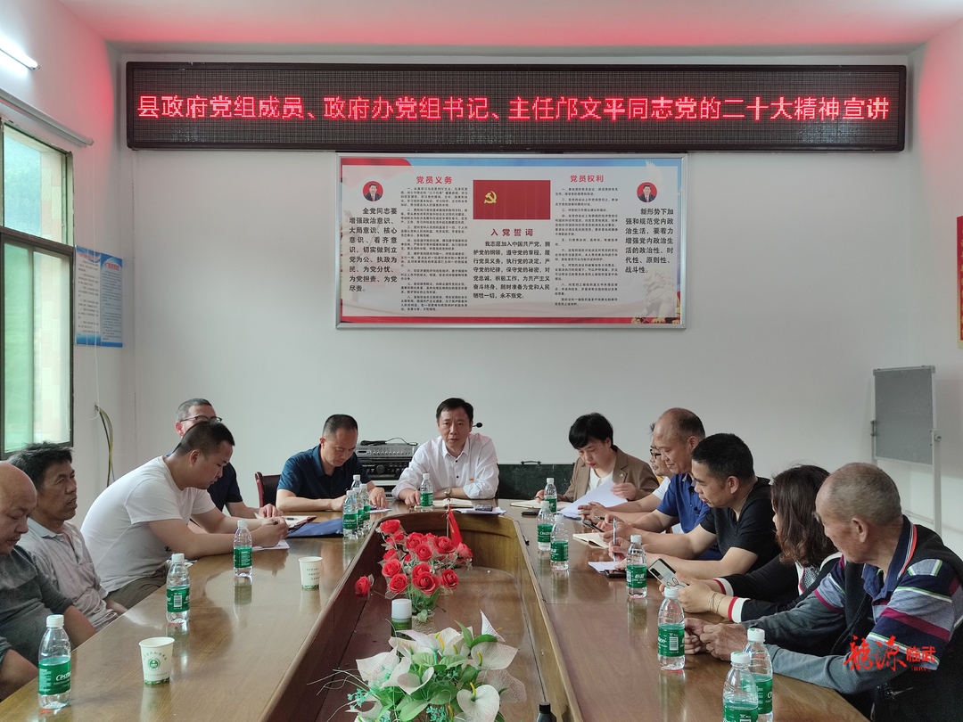打好“发展六仗”丨临武县政府办：一次活动重点工作“双落实”