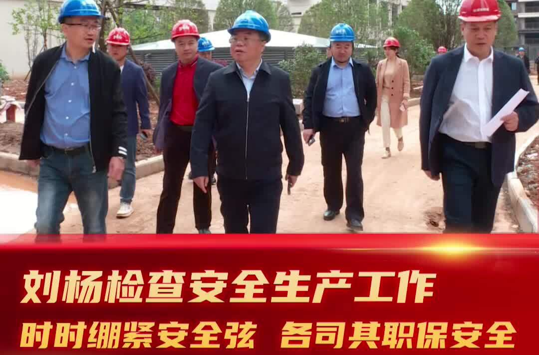 刘杨检查安全生产工作：时时绷紧安全弦 各司其职保安全
