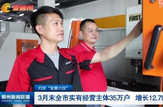【郴州新闻联播】打好“发展六仗”：3月末全市实有经营主体35万户 增长12.79%