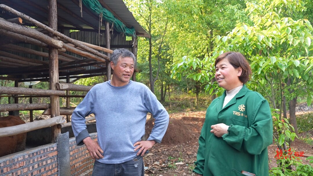郴州临武彭美竹：“牛劲”闯出致富路