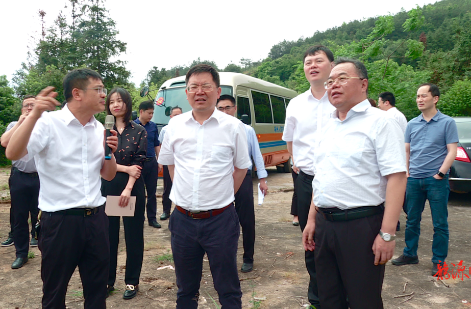 大兴调查研究 | 省发改委调研组来临武县调研锂电新能源产业发展情况