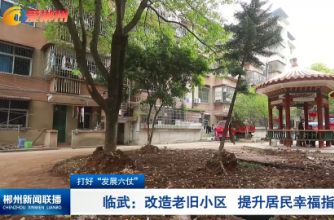 【郴州新闻联播】打好“发展六仗”·临武：改造老旧小区 提升居民幸福指数